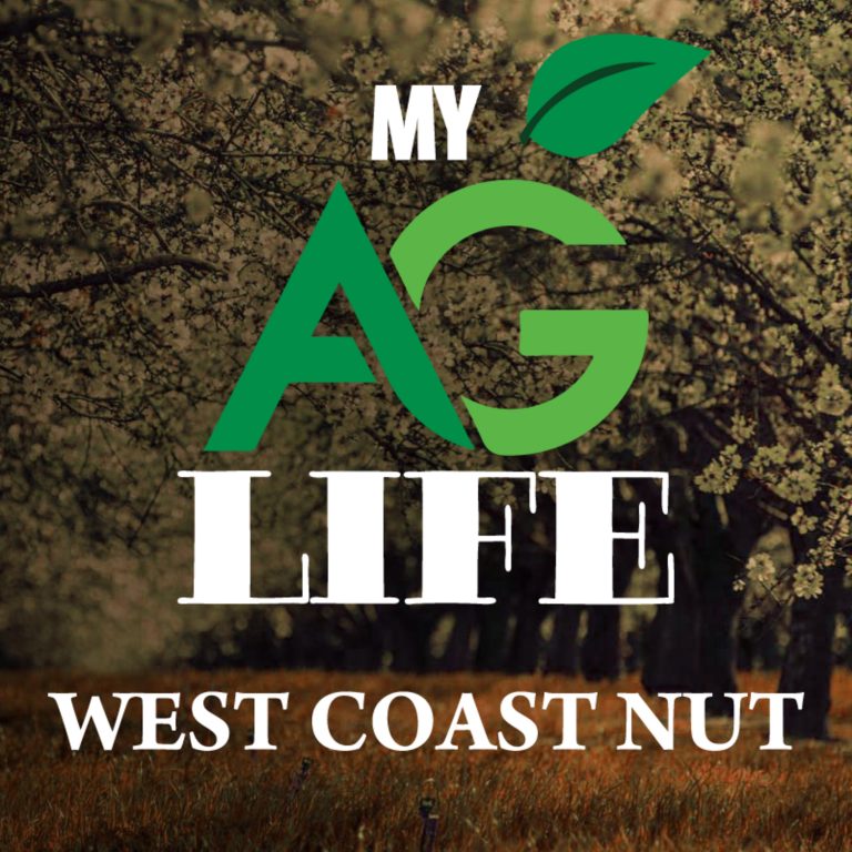 Creating Habitat for Beneficials to Control Aphids in Pecans / West Coast Nut September 2020